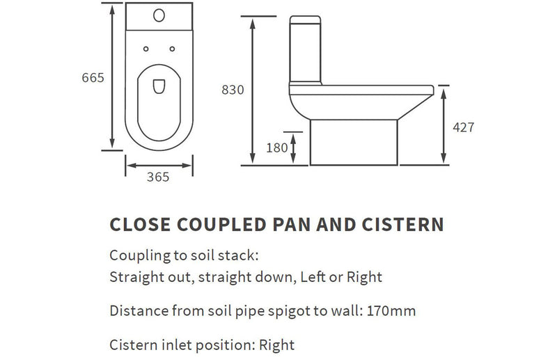 Regent 450mm Vanity & Toilet Pack